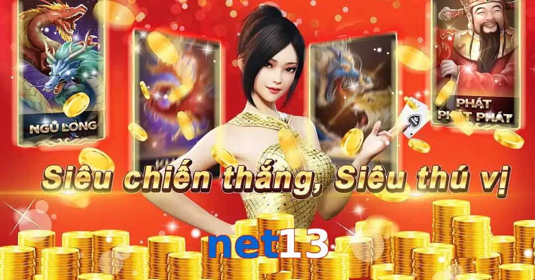 net13